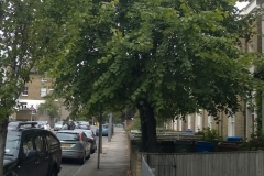 2-x-Limes-100-Denmark-Road-SE5-261114-before-side-view