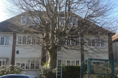 Copper-Beech-39-Prentis-Road-SW16-230413-before-e1470597639566