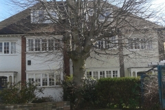 Copper-Beech-39-Prentis-Road-SW16-230413-during-e1459756554506