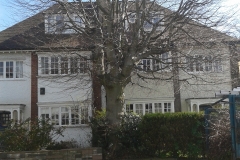 Copper-Beech-39-Prentis-Road-SW16-230413-during-e1470597659348