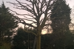 English-Oak-18-Lancaster-Avenue-SE27-181214-after