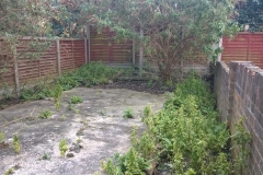 Garden-Tidy-up-Stoke-Newington-April-2016-before