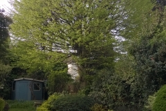 Hornbeam122-Ferndene-Road-SE24-160415-before