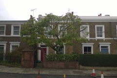 Magnolia-74-Claylands-Road-SE11-141014-after