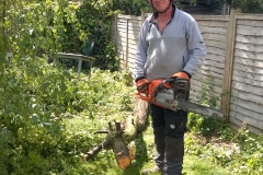 Ralph-delimbing-a-small-plum-tree-210515-Streatham-e1457101869323