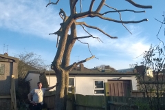 Willow-179-Valley-Road-SW16-090216-after