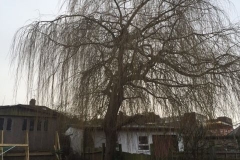 Willow-179-Valley-Road-SW16-090216-before