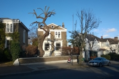 Willow-22-Wimbledon-Park-Road-SW19-091215-after
