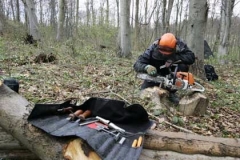 wood1